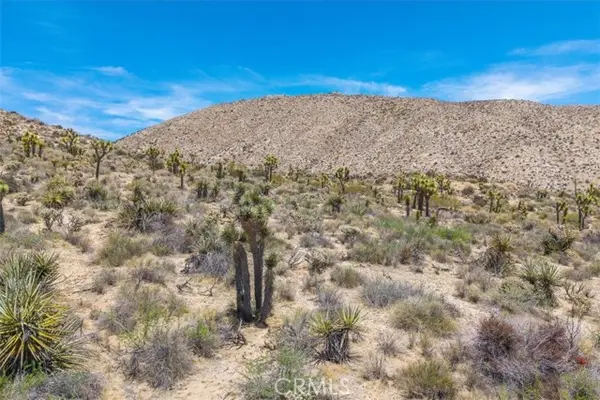 55652 Buena Vista Drive, Yucca Valley, CA 92284