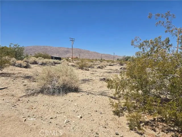 7070 Sheridan Avenue, Twentynine Palms, CA 92277 - #2