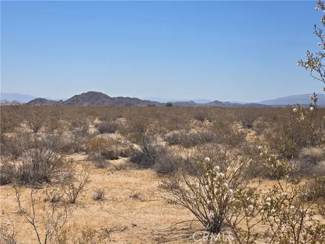 1577 Mcgarry Road, Joshua Tree, CA 92252 - #1