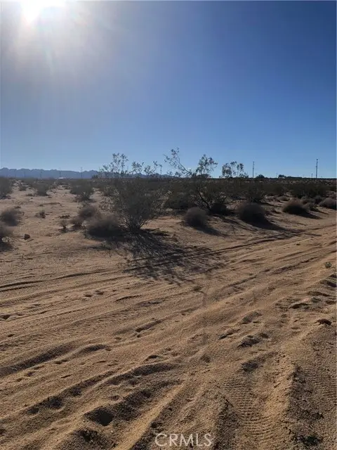 1 Pampas, Twentynine Palms, CA 92277 - #1