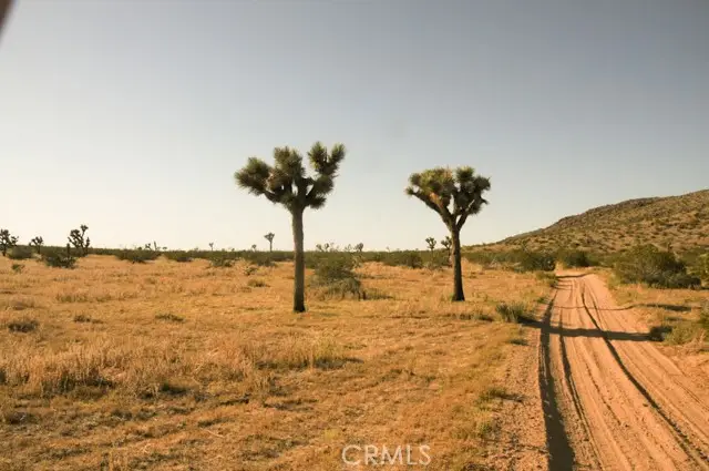 58459 Starlight Mesa Road, Yucca Valley, CA 92284 - #2