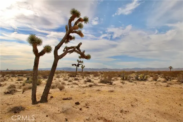 0 Cielito Drive, Joshua Tree, CA 92252 - #1