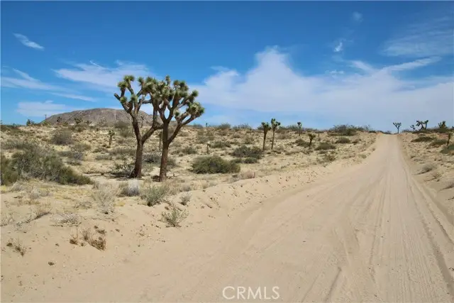 0 Pine Street, Landers, CA 92285 - #2