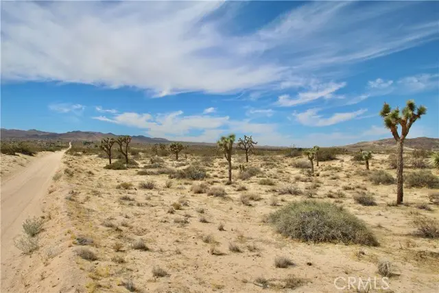 0 Pine Street, Landers, CA 92285 - #3