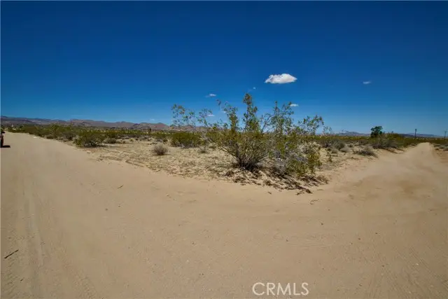 888 Lucky Lane, Landers, CA 92285 - #3