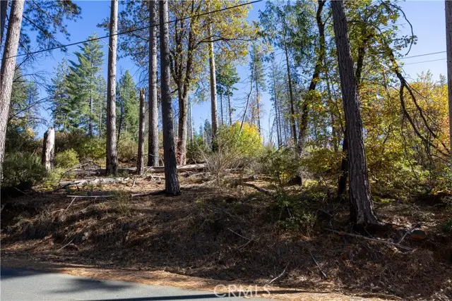 10991 Gifford Springs Road, Cobb, CA 95426 - #2