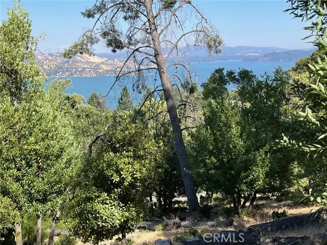 3599 Pine Terrace Drive, Kelseyville, CA 95451 - #1