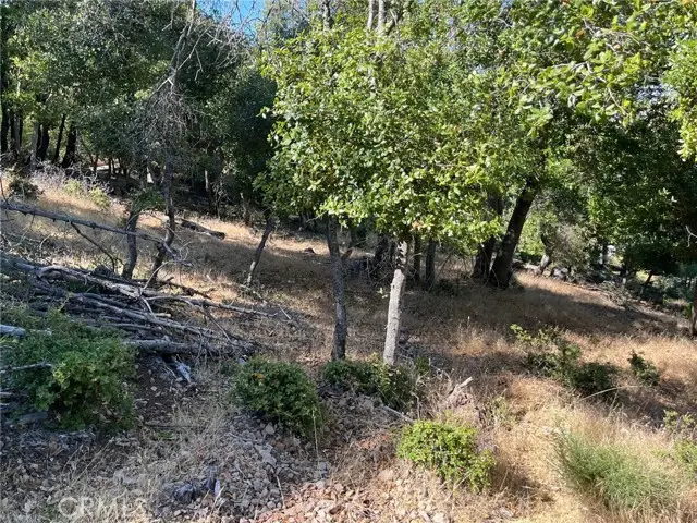 3599 Pine Terrace Drive, Kelseyville, CA 95451 - #2