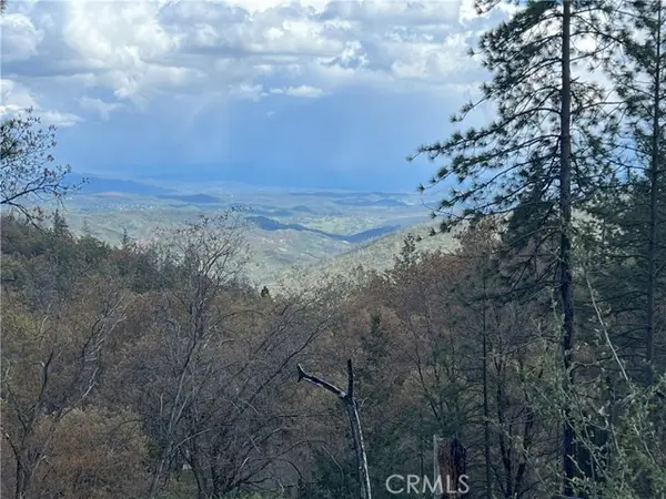 11256 Loch Lomond Road, Loch Lomond, CA 95461