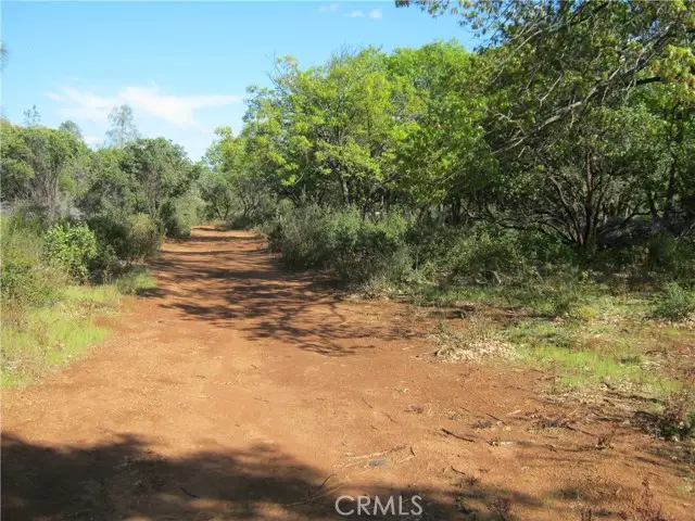 9070 State Hwy 29, Lower Lake, CA 95457 - #3