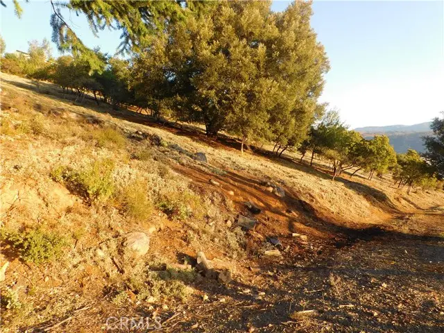 8431 Mountain Crest Drive, Kelseyville, CA 95451 - #3