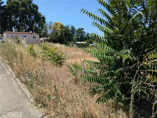 455 Forbes Street, Lakeport, CA 95453 - #3