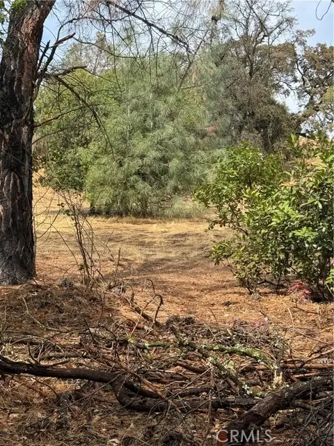 12508 Lakeview Drive, Clearlake Oaks, CA 95423