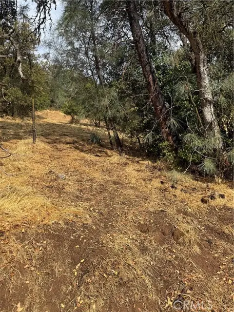 12504 Lakeview Drive, Clearlake Oaks, CA 95423