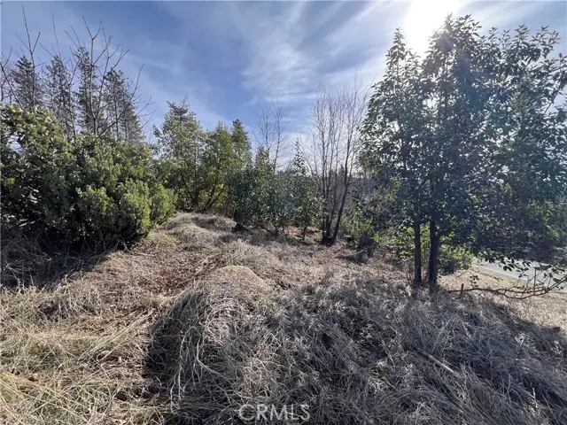 16070 Pine Street, Cobb, CA 95426 - #3