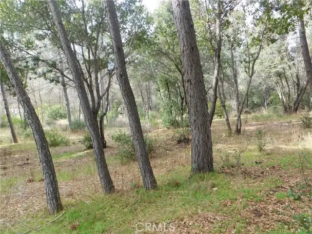 5834 Spruce Avenue, Clearlake, CA 95422 - #2