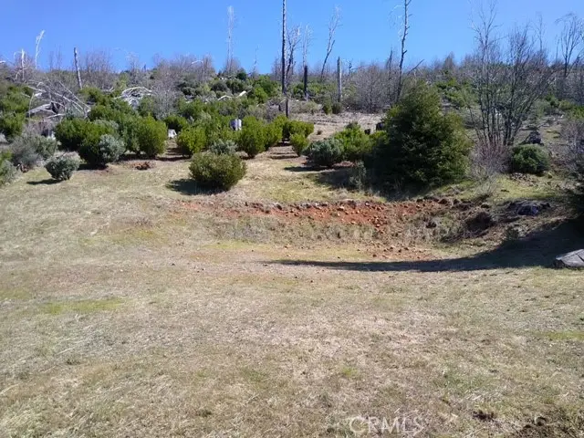 15260 Evergreen Drive, Cobb, CA 95426 - Image #2