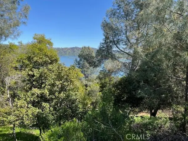 8444 Soda Bay Road, Kelseyville, CA 95451