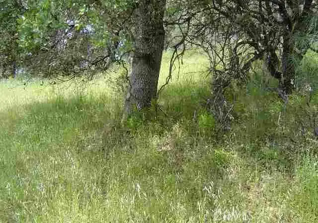 15709 Cache Creek Road, Clearlake Oaks, CA 95423 - #1