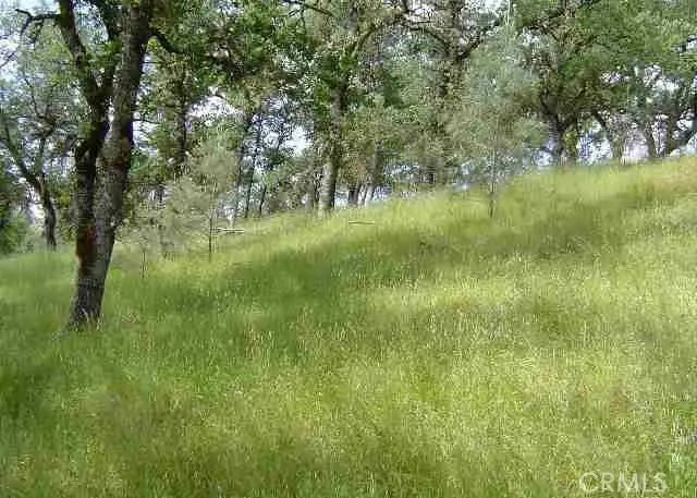 15709 Cache Creek Road, Clearlake Oaks, CA 95423 - #2