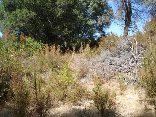 16344 4th Avenue, Clearlake, CA 95422 - #2