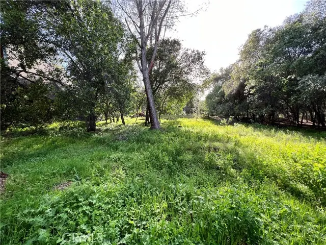 3356 Southlake Court, Kelseyville, CA 95451 - #1