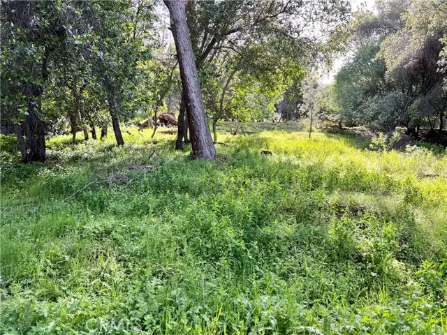 3356 Southlake Court, Kelseyville, CA 95451 - #2