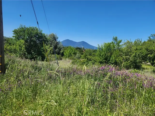 14241 Mcbride Court, Clearlake Oaks, CA 95423 - #3