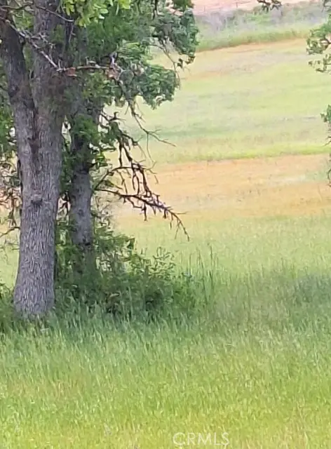 3397 OLEANDER Street, Clearlake, CA 95422 - #1