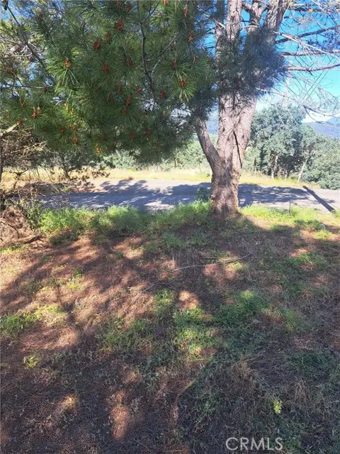 16125 14th Avenue, Clearlake, CA 95422 - #3