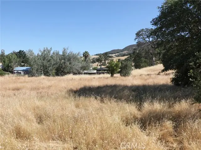 7285 Wilson Street, Nice, CA 95464 - #3