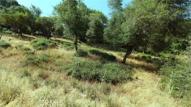 9523 Tenaya Way, Kelseyville, CA 95451 - #2