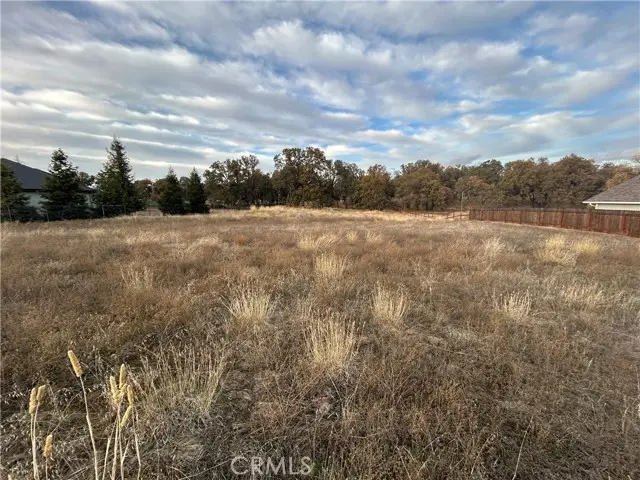 1250 Oak Park Way, Lakeport, CA 95453 - #3