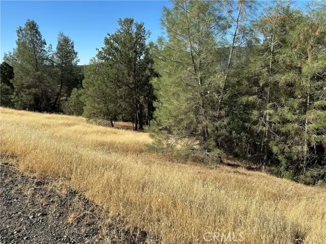 3265 Wolf Creek Road, Clearlake Oaks, CA 95423 - #2