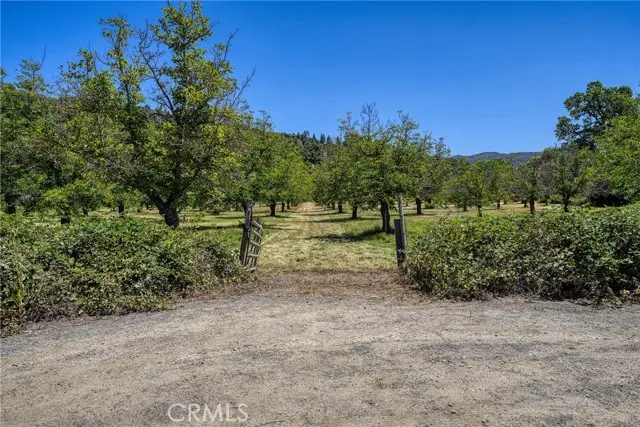 1286 Pitney Lane, Upper Lake, CA 95485 - #2