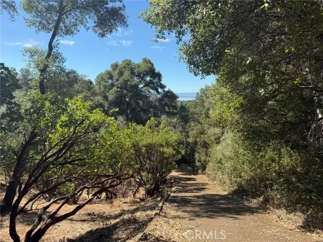 3293 Clay Street, Nice, CA 95464 - #2