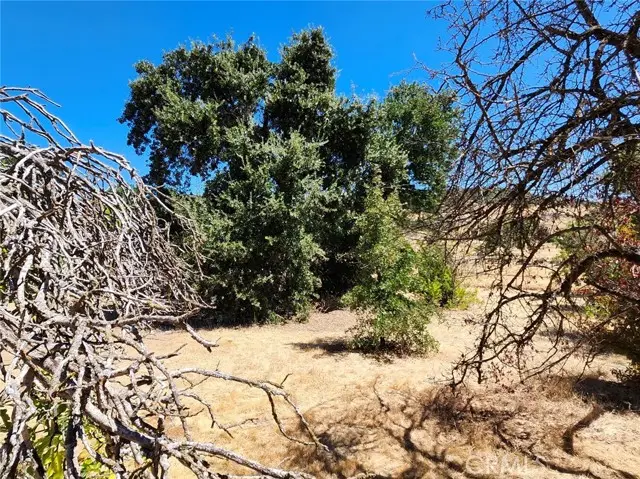 3960 Emile Avenue, Clearlake, CA 95422 - #2