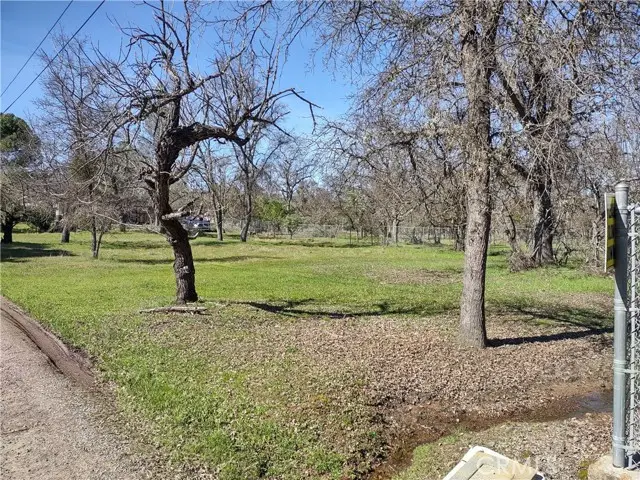 4599 Terrace Avenue, Lakeport, CA 95453 - #1