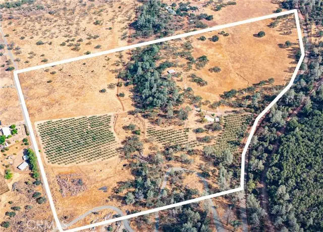 21378 Jerusalem Grade, Middletown, CA 95461 - #2