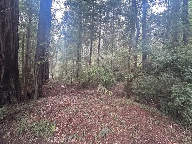 0 Law Road, Mendocino, CA 95460 - #3