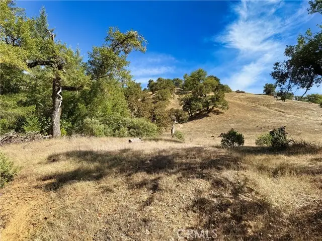 18225 Scenic Drive, Redwood Valley, CA 95470 - #1