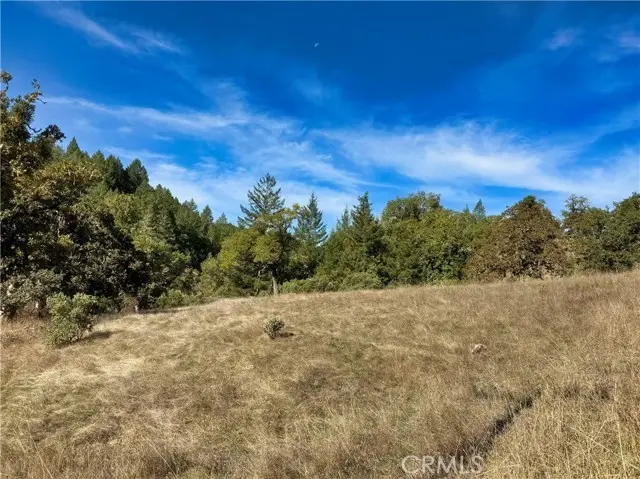 18225 Scenic Drive, Redwood Valley, CA 95470 - #2