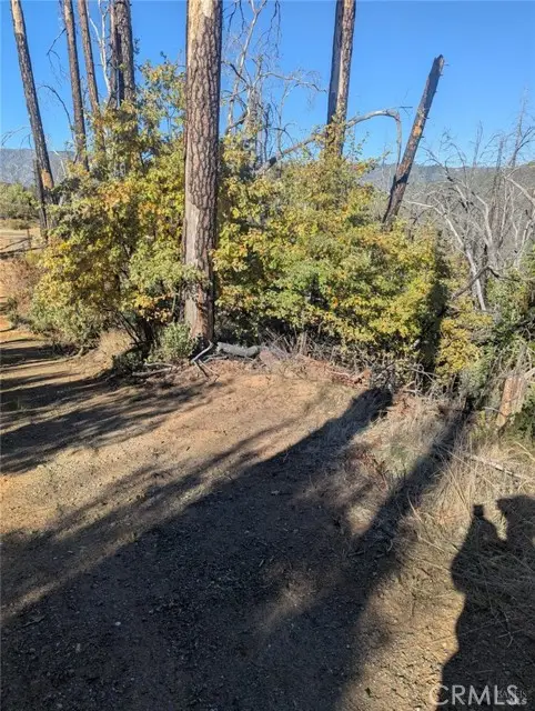 1833 Hunter Point Rd, Upper Lake, CA 95485 - #3