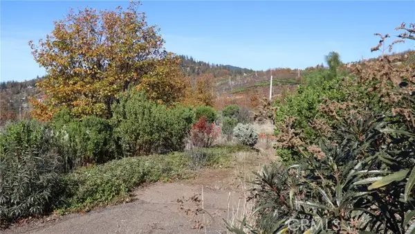 15530 Sugar Pine, Cobb, CA 95426