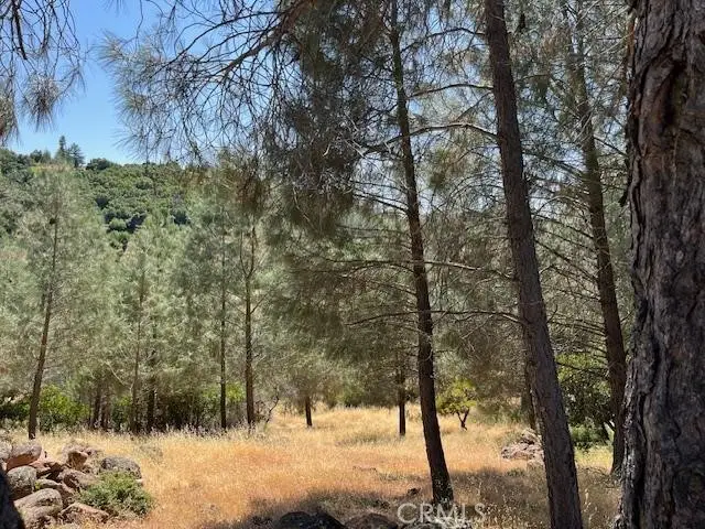 10353 Walnut Way, Kelseyville, CA 95451 - #1