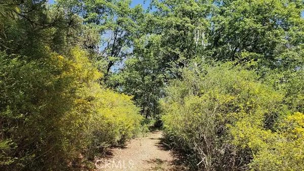 11890 Loch Lomond, Loch Lomond, CA 95461