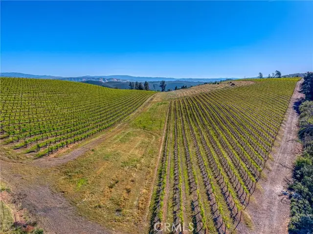 8179 Highway 29, Lower Lake, CA 95457 - #3