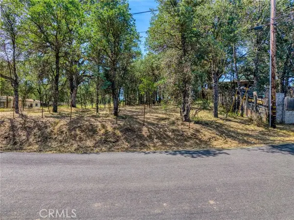 16793 Big Bear, Lower Lake, CA 95457