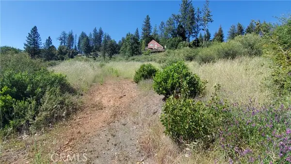 9334 Bleuss Way, Cobb, CA 95426