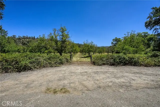 1286 Pitney Lane, Upper Lake, CA 95485 - #1